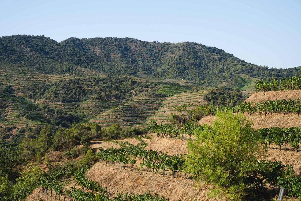 Ora Hotel Priorat, A Member Of Design Hotels Torroja Екстериор снимка